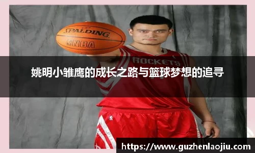 姚明小雏鹰的成长之路与篮球梦想的追寻