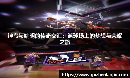 神鸟与姚明的传奇交汇：篮球场上的梦想与荣耀之旅
